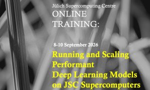 Training Workshop on Scaling Deep Learning Models