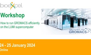 Running GROMACS efficiently on LUMI