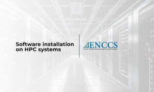 Software Installation on HPC Systems