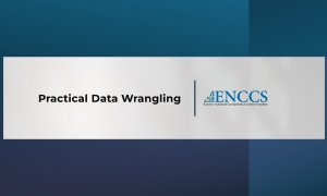 Practical Data Wrangling