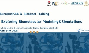 Exploring Biomolecular Modeling and Simulations