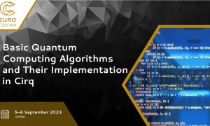 Basic quantum computing algorithms