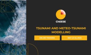 Tsunami and Meteo-Tsunami Modelling