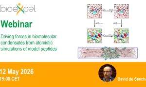 Driving Forces in Biomolecular Condensates from Atomistic Simulations of Model Peptides